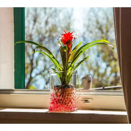 Apartmán Viktoria Split