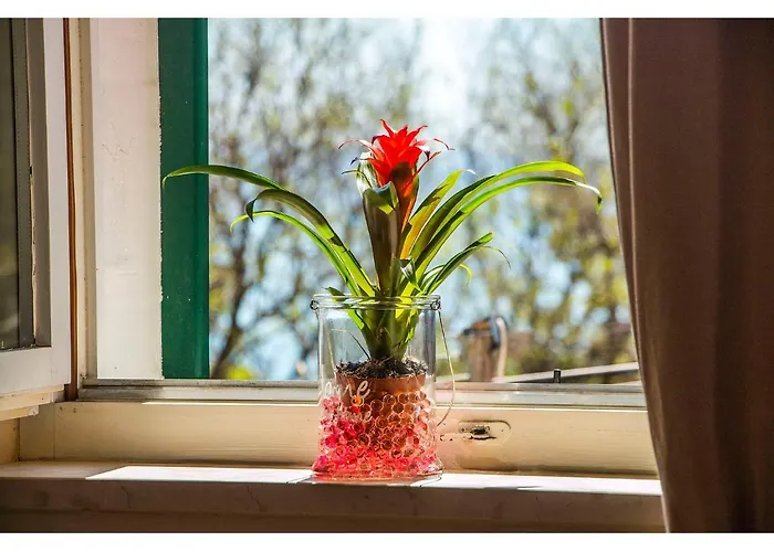 Apartman Viktoria Split